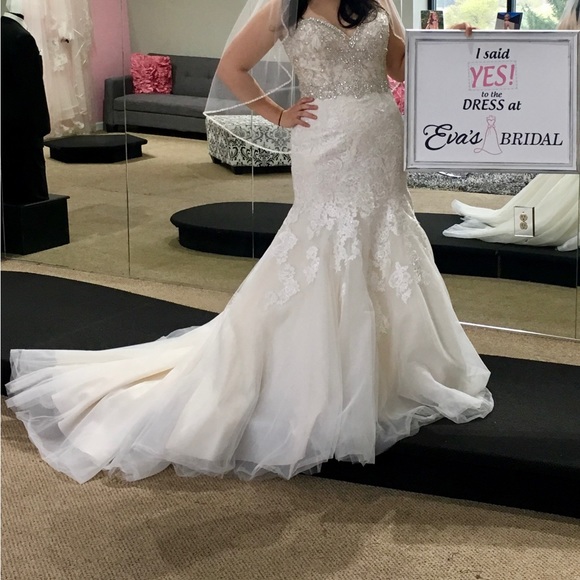 Wedding Dress and Veil